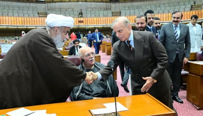 Prime Minister Shehbaz Sharif shakes hands with Leader of the Opposition in the Senate Allama Raja Nasir Abbas as National Assembly Opposition Leader Mahmood Khan Achakzai looks on, October 15, 2026. — X@NaofPakistan