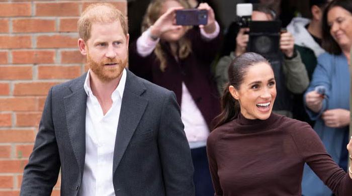 Prince Harry, Meghan reject royal positions in exchange for special role