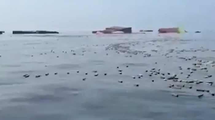 WATCH: Iranian fishermen find floating iPhones, perfumes in Strait of Hormuz
