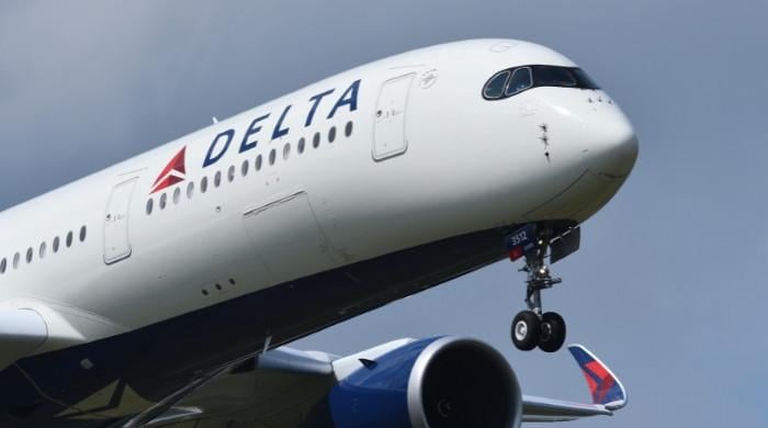 Delta flight attendants clash mid-flight as captain warns crew 'may need separating'