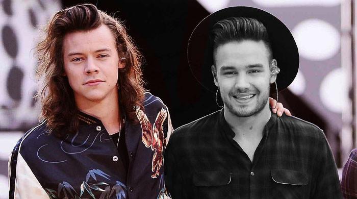 Harry Styles debuts unreleased Liam Payne tribute song 