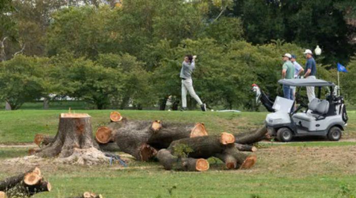  DOJ seeks to disqualify judge in East Potomac golf course tree-cleaning case