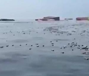 WATCH: Iranian fishermen find floating iPhones, perfumes in Strait of Hormuz