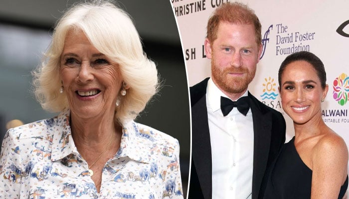 Queen Camilla presents Harry, Meghan with ‘golden opportunity’