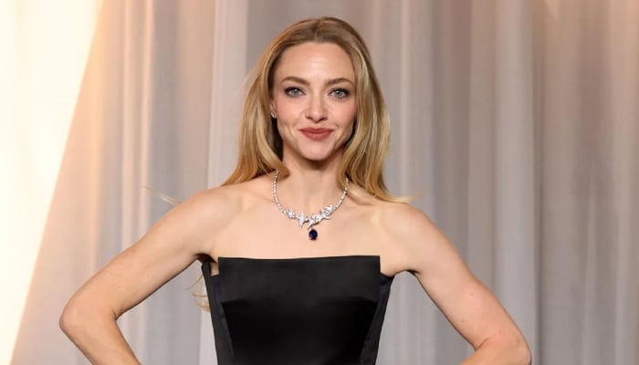 Amanda Seyfrieds mysterious new project sparks curiosity