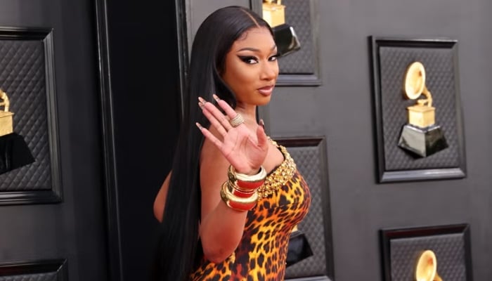 Megan Thee Stallion finally gets her Victoria Secrets moment