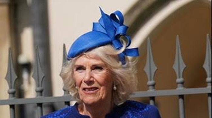 Queen Camilla set to join Strictly audience if Mike Tindall takes on surprise TV challenge