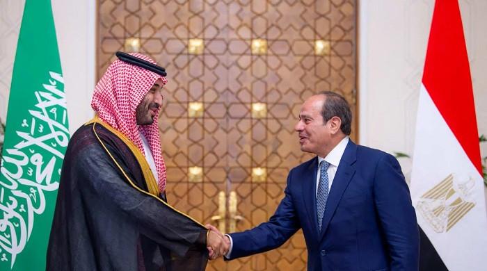 Egypt pledges active support for Saudi Arabia as its parliament weighs military authorisation