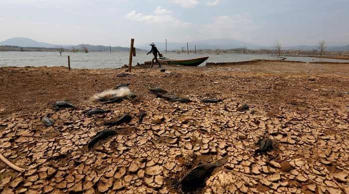 Record El Nino? Depends who's counting