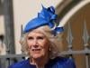 Queen Camilla set to join Strictly audience if Mike Tindall takes on surprise TV challenge