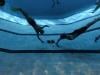 'Physical hell': Hong Kong hosts gruelling underwater hockey tournament