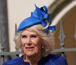 Queen Camilla set to join Strictly audience if Mike Tindall takes on surprise TV challenge