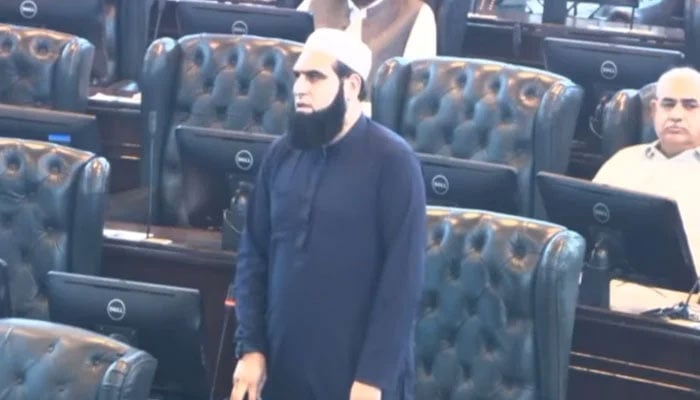 Khyber Pakhtunkhwa Minister Dr Amjad Ali speaks in the KP Assembly on September 23, 2024. — Screengrab via Facebook@Dr Amjad Ali