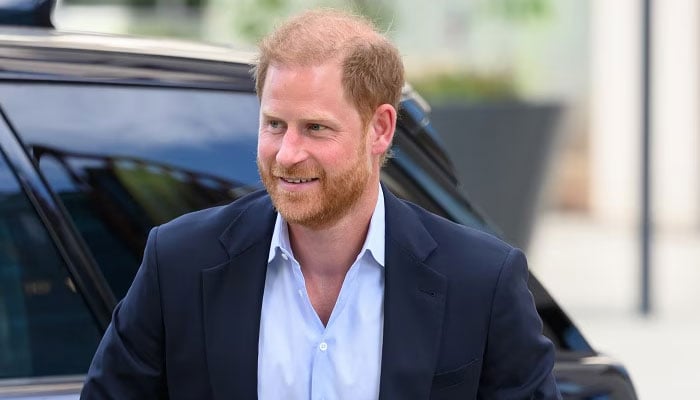 Prince Harry takes huge risk to gain security as secret plan exposed