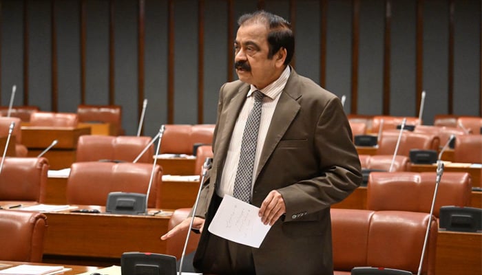 Prime Ministers Adviser on Political Affairs Rana Sanaullah speaks during a Senate session, October 20, 2026. — Facebook@Pakistansenate
