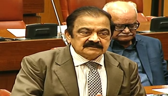 Prime Ministers Adviser on Political Affairs Rana Sanaullah speaks during a Senate session, October 20, 2026. — Screengrab via YouTube/Geo News
