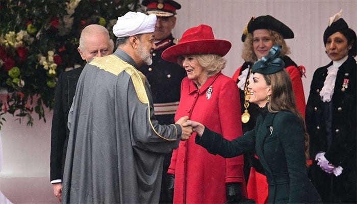Princess Kates graceful curtsy brings colour to rainy royal welcome