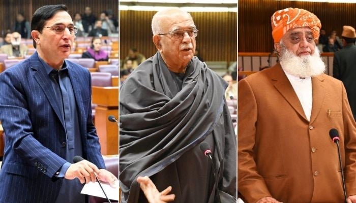 This collage shows PTI Chairman Barrister Gohar (left), PkMAPs chief Mahmood Khan Achakzai (centre) and JUI-F chief Maulana Fazlur Rehman. — Facebook//NationalAssemblyOfPakistan