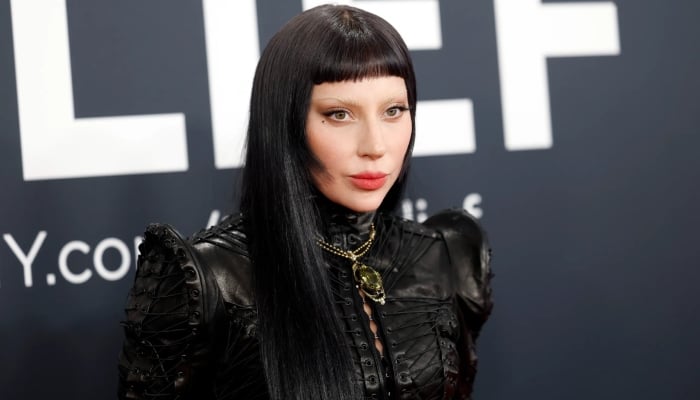Lady Gaga hints at new album amid indefinite hiatus