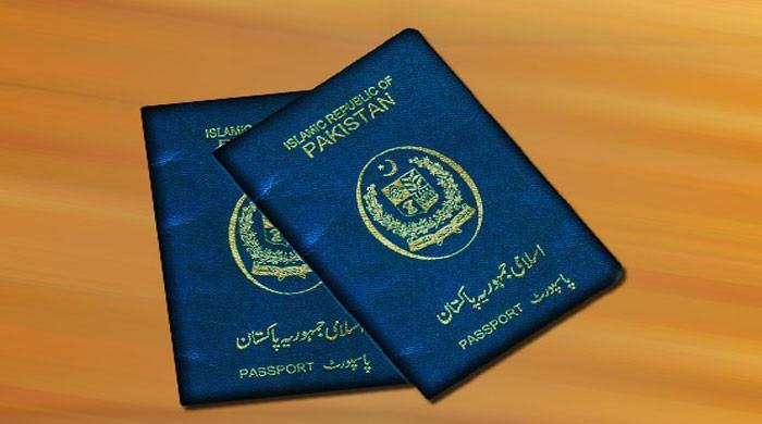 Senate passes bill letting ex-lawmakers keep blue passports without serving full term