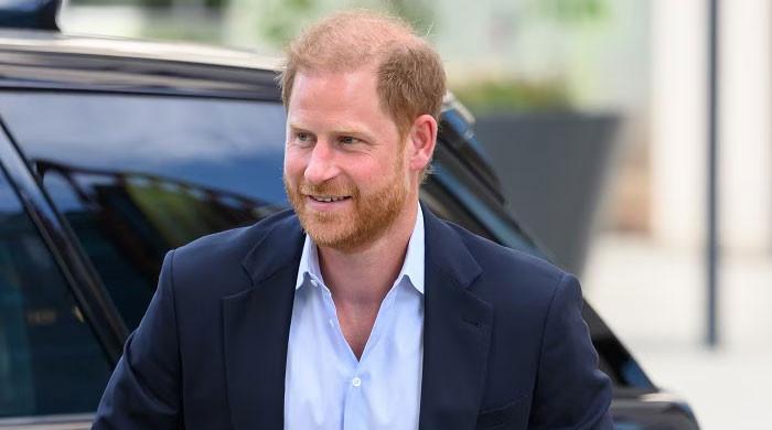 Prince Harry takes huge risk to gain security as secret plan exposed