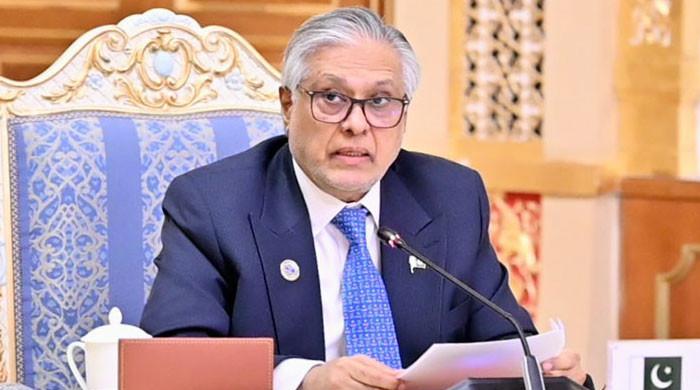 DPM Dar stresses Afghanistan's stability for regional peace at SCO moot