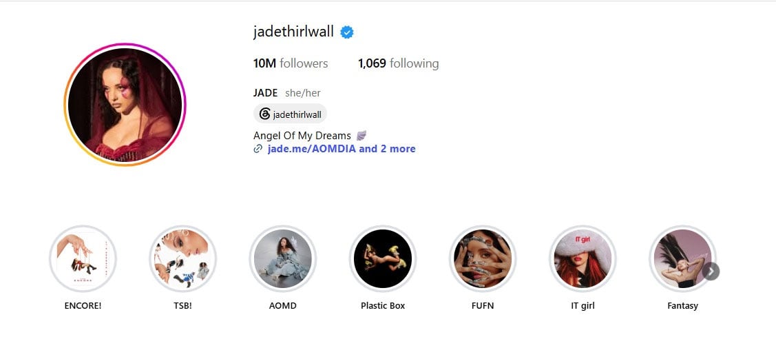 Jade Thirlwall updates social media bio after Kylie Jenners VS debut