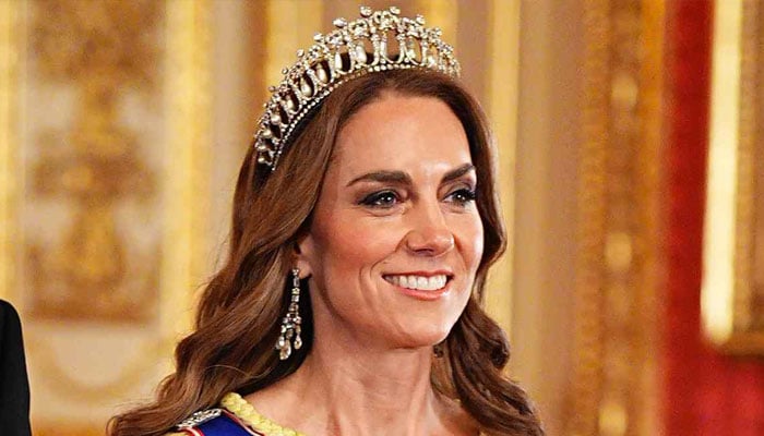 Princess Kate’s stunning dress mishap, surprising detail missed by most
