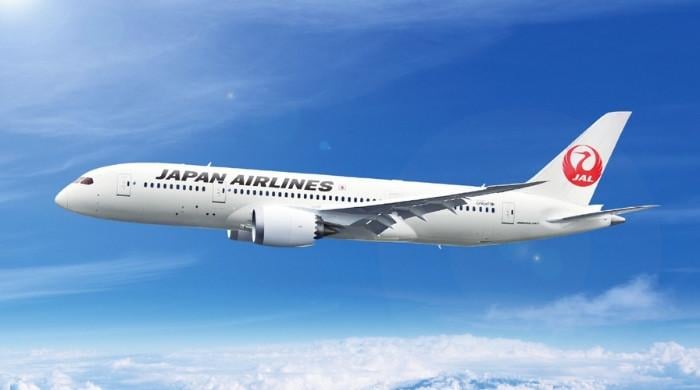 Snake found on plane causes flight cancellation at Japan airport: details inside