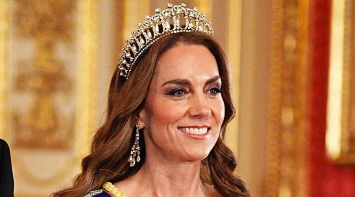 Princess Kate's stunning dress mishap, surprising detail missed by most