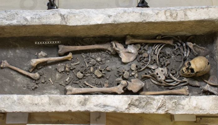 1,000-year-old skeleton found inside Roman coffin at Westminster Abbey finally identified