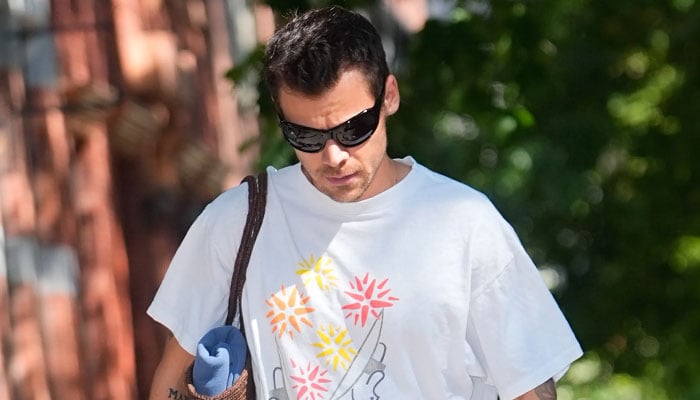 Harry Styles loses temper after menacing fan encounter