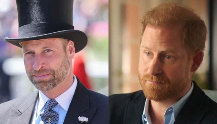 Prince William brutal reply to Harrys reconciliation message