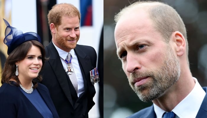 Prince Harry wants closure in crucial meeting with Princess Eugenie