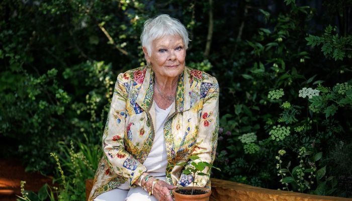 What is age-related macular degeneration? Everything to know about the condition affecting Dame Judi Dench