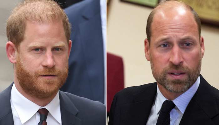 Prince Harrys friend drops truth bomb on secret reunion with William