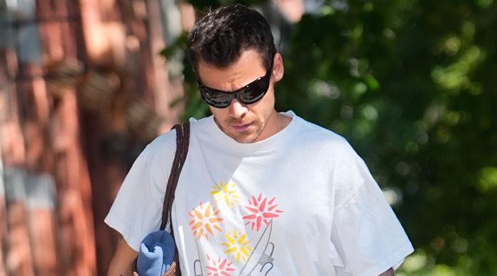 Harry Styles loses temper after 'menacing' fan encounter