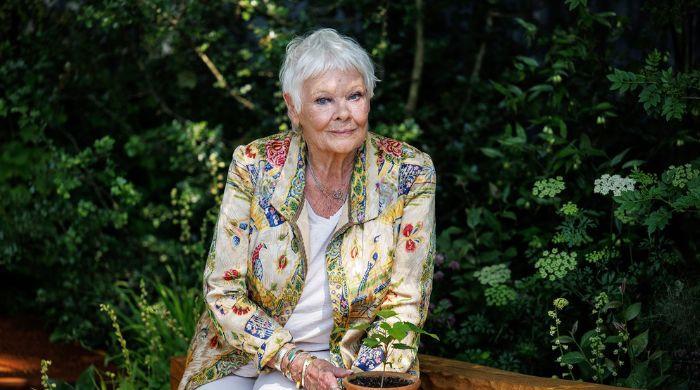 What is age-related macular degeneration? Everything to know about the condition affecting Dame Judi Dench