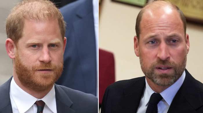 Prince Harry's friend drops biggest truth about Duke's secret reunion with William