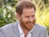 Prince Harry exposes himself to royals, Britons