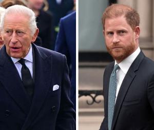 King Charles shares wise words after Prince Harry's appeal