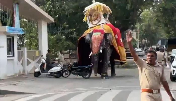Elephant carrying 650kg shrine runs amok at Indian festival, sending crowds fleeing