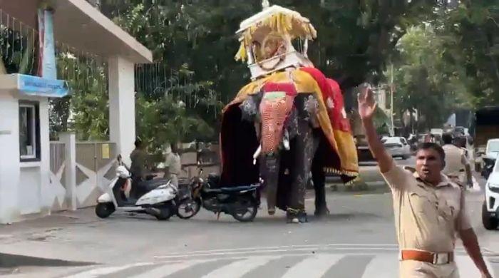 Elephant carrying 650kg shrine runs amok at Indian festival, sending crowds fleeing