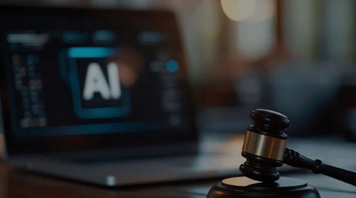 AI use in judicial rulings can lead to erroneous judgments: legal wizard