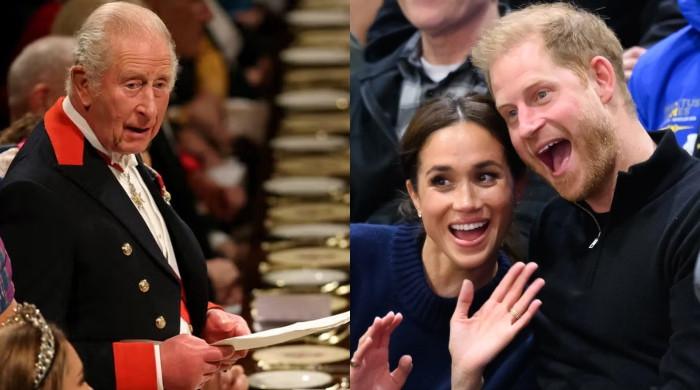 Prince Harry, Meghan turn dangerous for King Charles: 'Take away titles'