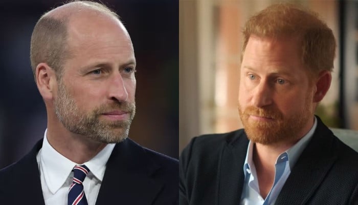 Prince William seconds Harry's thoughts on grief in emotional statement