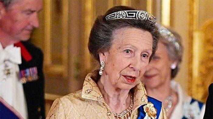 Princess Anne announces new overseas trip with major engagement in November