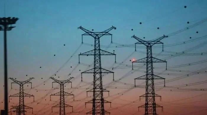 Govt working to end six-month higher electricity charges for crossing 200 units: minister