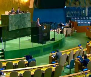 'Institutional paralysis': Pakistan urges abolition or curbs on UNSC veto power
