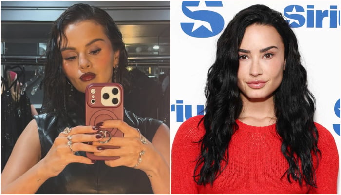 Selena Gomez and Demi Lovato celebrate their friendship after reconnecting